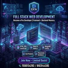 Professional Website Development - 3